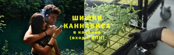 меф Алексин
