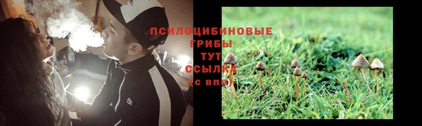 дурь Алзамай