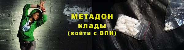 прущие грибы Снежногорск