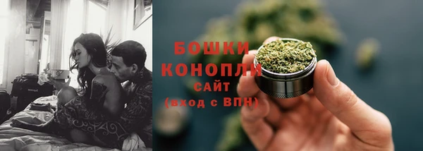 дурь Алзамай