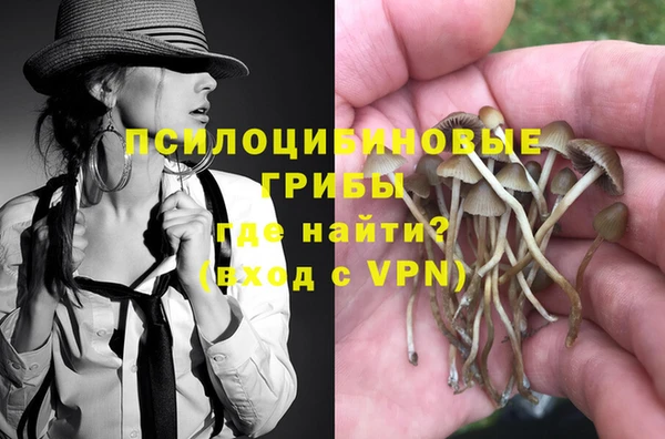 твердый Алексеевка