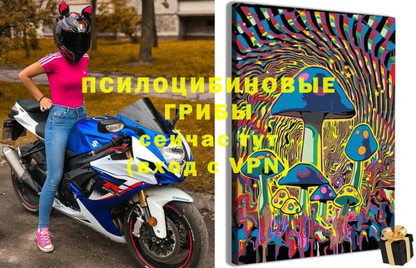 дурь Алзамай