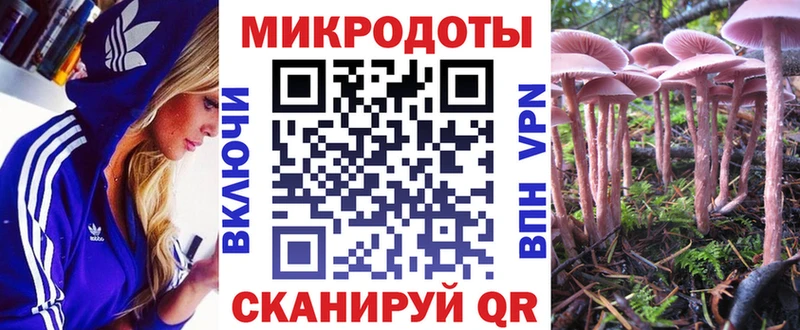 наркота  Ардатов  Галлюциногенные грибы Magic Shrooms 